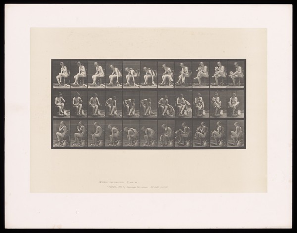 A naked woman sitting in a chair picks up a towel and dries her left foot. Collotype after Eadweard Muybridge, 1887.