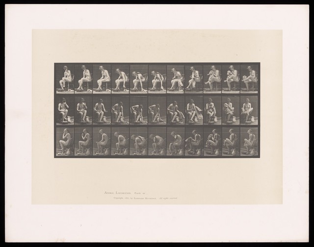 A naked woman sitting in a chair picks up a towel and dries her left foot. Collotype after Eadweard Muybridge, 1887.