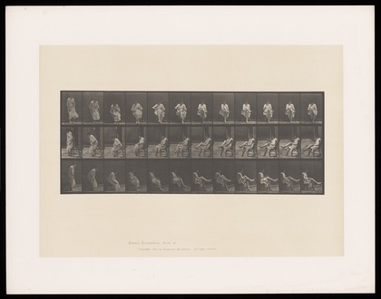 A semi-naked woman sits on a chair and puts on a stocking. Collotype after Eadweard Muybridge, 1887.