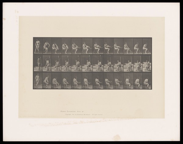 A semi-naked woman sits on a chair and puts on a stocking. Collotype after Eadweard Muybridge, 1887.