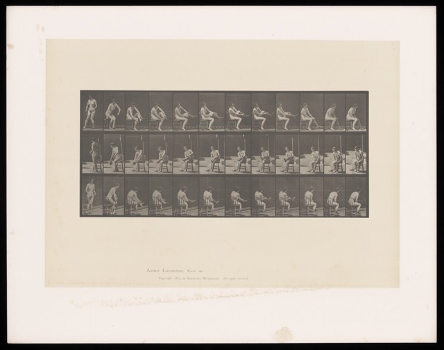 digitised image 1