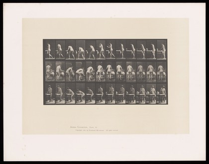 A naked woman does ironing. Collotype after Eadweard Muybridge, 1887.