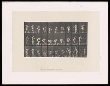 A naked woman rinses a glass in a bucket of water. Collotype after Eadweard Muybridge, 1887.