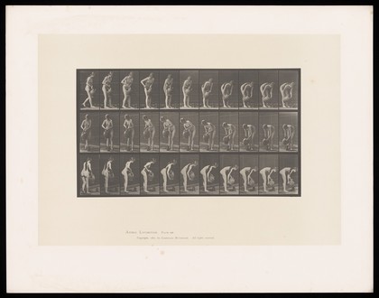 A naked woman bends and pours water into a jug from a water jar. Collotype after Eadweard Muybridge, 1887.