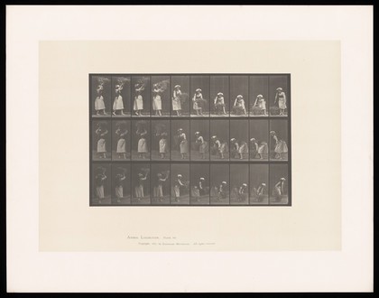 A clothed woman carries a basket on her head then places it onto the ground. Collotype after Eadweard Muybridge, 1887.