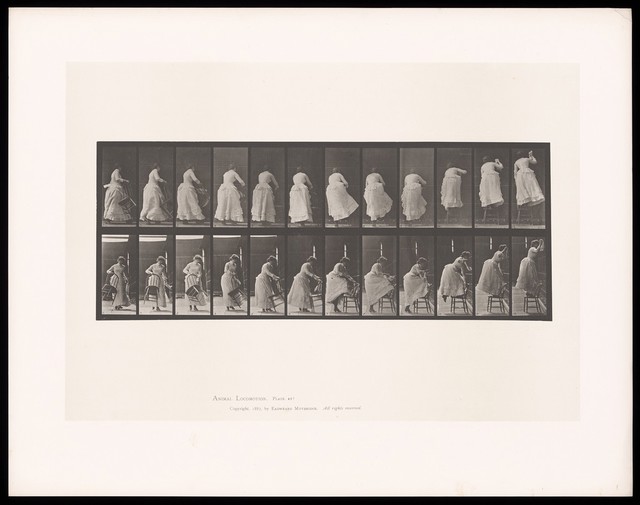 digitised image 1