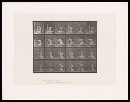 A naked child gives a bouquet to a semi-naked woman sitting on the ground. Collotype after Eadweard Muybridge, 1887.