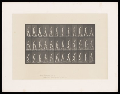 A naked woman walks on the level, up steps and up an incline. Collotype after Eadweard Muybridge, 1887.