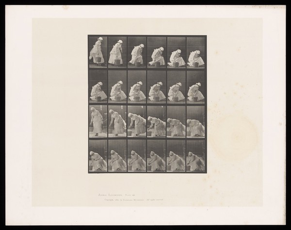 A clothed woman puts a bucket on the ground, crouches and squeezes out a cloth from inside it. Collotype after Eadweard Muybridge, 1887.