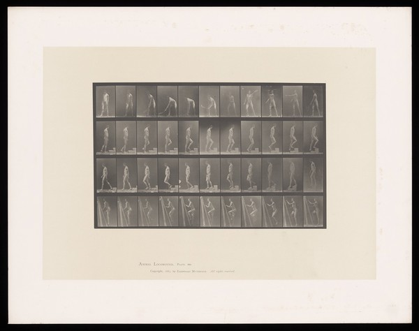 A naked man plays tennis, mounts steps, walks down steps and climbs a ladder. Collotype after Eadweard Muybridge, 1887.