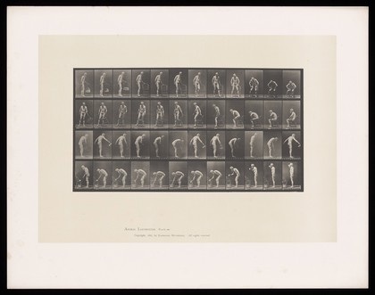 A naked man sits on a chair, pours water and drinks a cup of water from a tub. Collotype after Eadweard Muybridge, 1887.