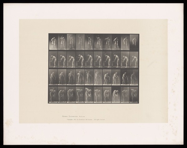 A naked man hammers an anvil, chops and saws wood. Collotype after Eadweard Muybridge, 1887.