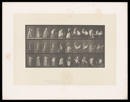 A clothed woman undresses to her underwear. Collotype after Eadweard Muybridge, 1887.