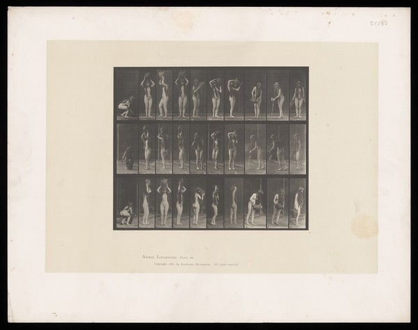 A naked woman lifts a water jar from the ground and pours water from it. Collotype after Eadweard Muybridge, 1887.
