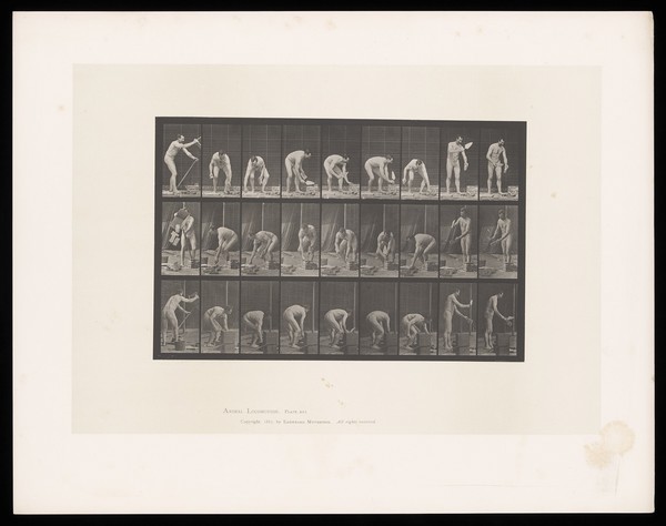 A nearly naked man bricklaying. Collotype after Eadweard Muybridge, 1887.