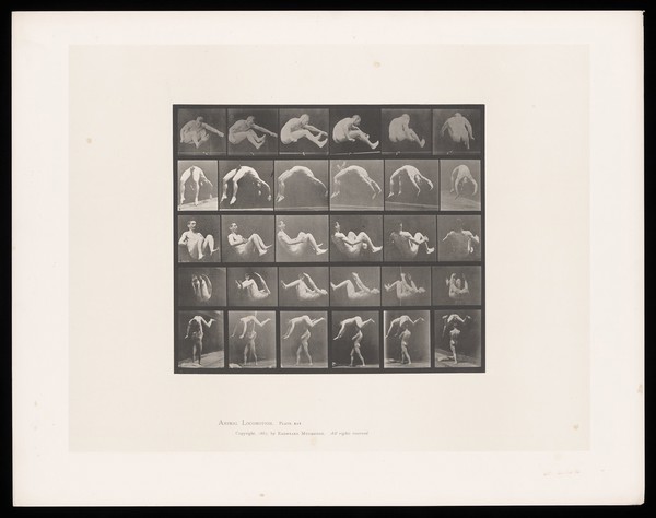 A naked man jumps and somersaults, then leaps over another man's head. Collotype after Eadweard Muybridge, 1887.