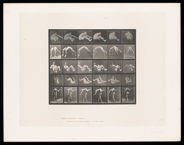 No text description is available for this image