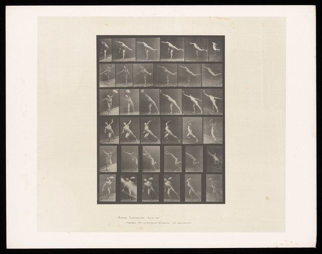 digitised image 1