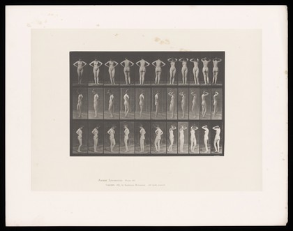 A naked woman rests her hands on her hips then behind her head. Collotype after Eadweard Muybridge, 1887.