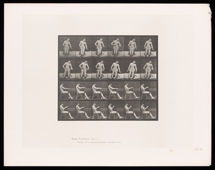 A naked woman sitting in a chair having convulsions. Collotype after Eadweard Muybridge, 1887.