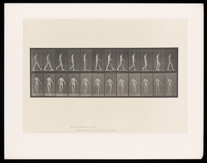 A naked man with locomotor ataxia, walking. Collotype after Eadweard Muybridge, 1887.