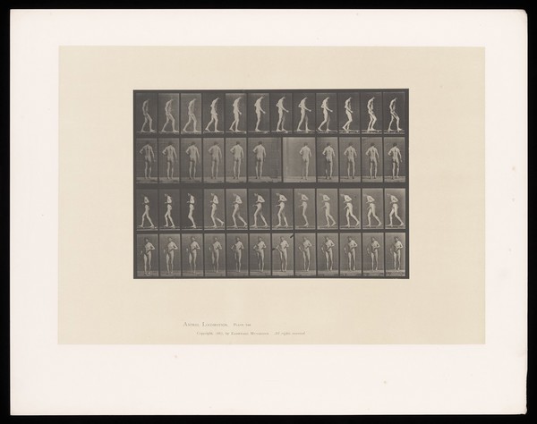 A naked man with motor neuron disease, walking. Collotype after Eadweard Muybridge, 1887.