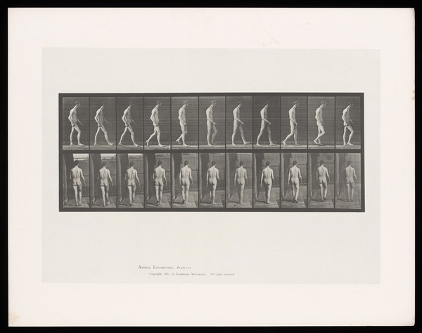 A naked man with spinal curvature, walking. Collotype after Eadweard Muybridge, 1887.
