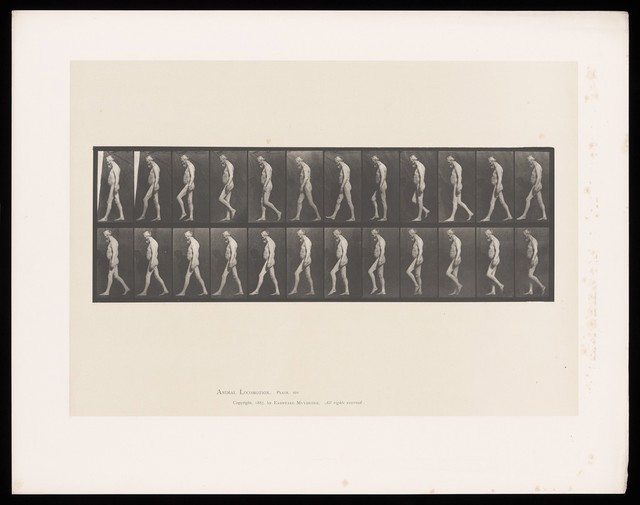 digitised image 1