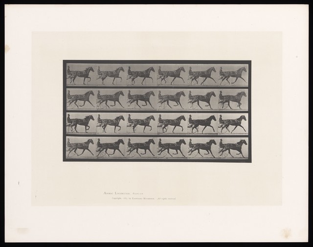digitised image 1