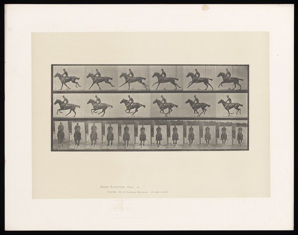 A clothed man riding a saddled horse. Collotype after Eadweard Muybridge, 1887.