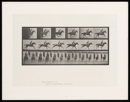 A clothed man riding a saddled horse. Collotype after Eadweard Muybridge, 1887.