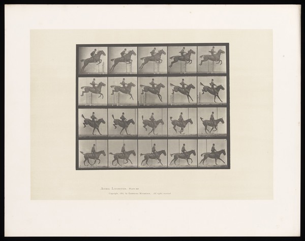 A clothed man riding a saddled horse jumps a hurdle then rides away. Collotype after Eadweard Muybridge, 1887.
