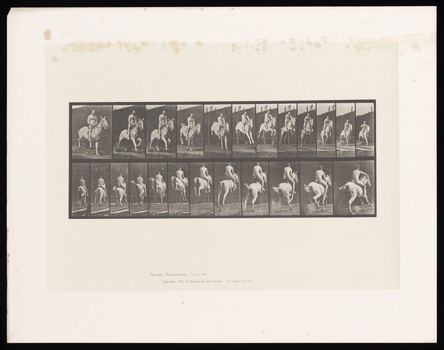 digitised image 1