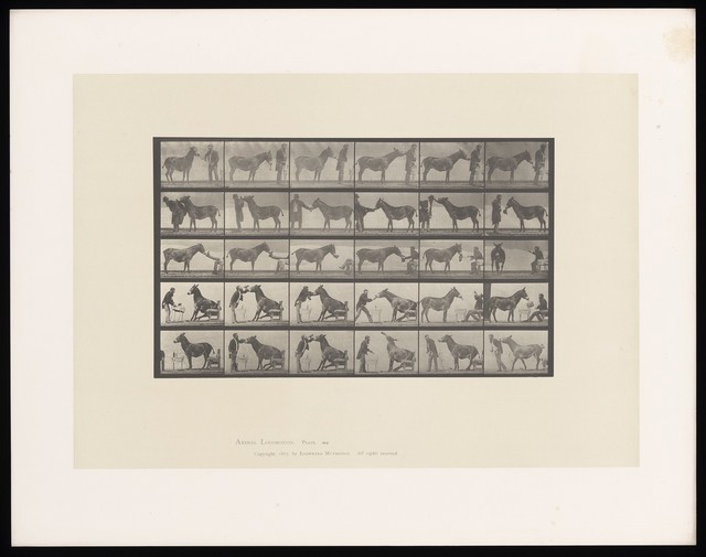 digitised image 1