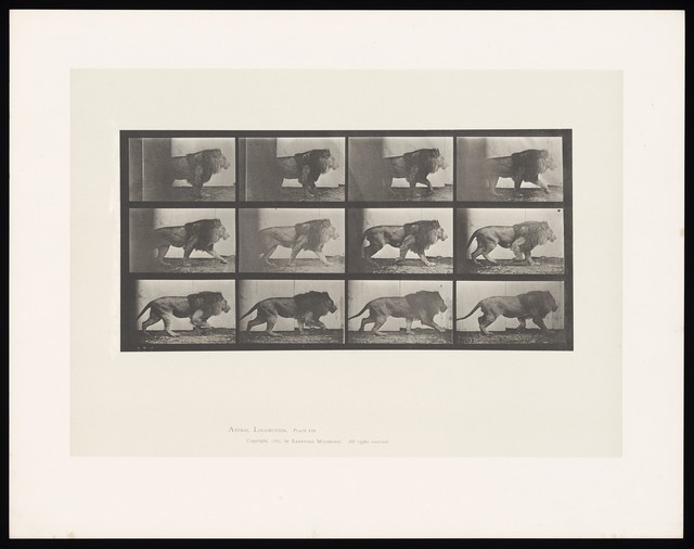 digitised image 1