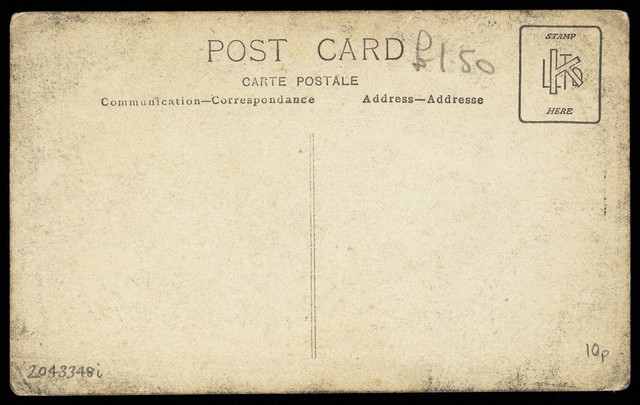 No text description is available for this image