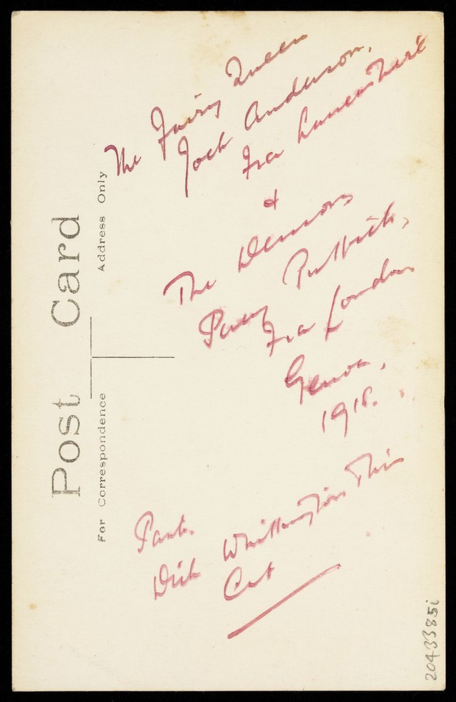 No text description is available for this image