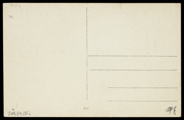 digitised image 2