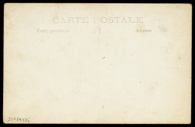 digitised image 2