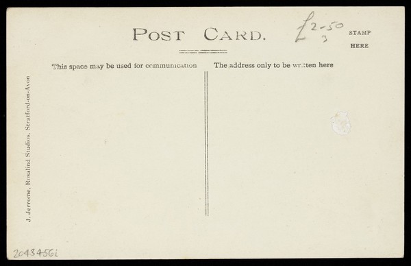 A man in drag wearing a very large hat with a veil, stands in front of a painted backdrop, with dense foliage. Photographic postcard, 1911.