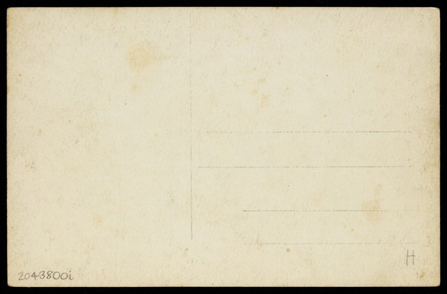 digitised image 2