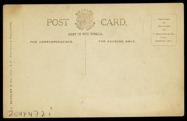 No text description is available for this image