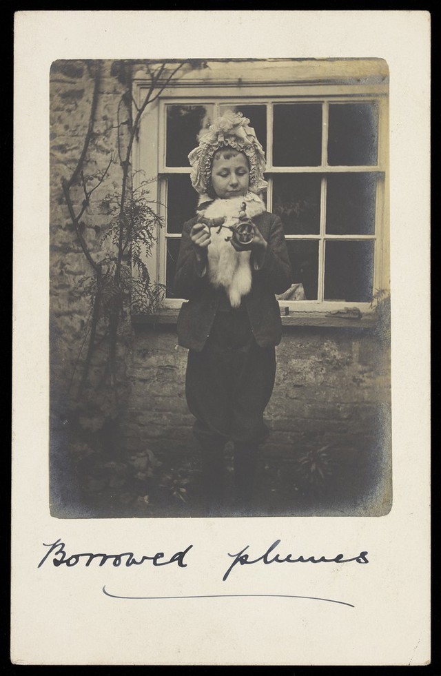 digitised image 1