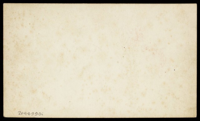 digitised image 2