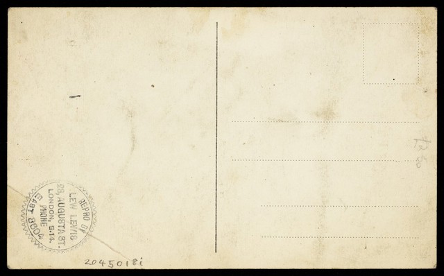 digitised image 2