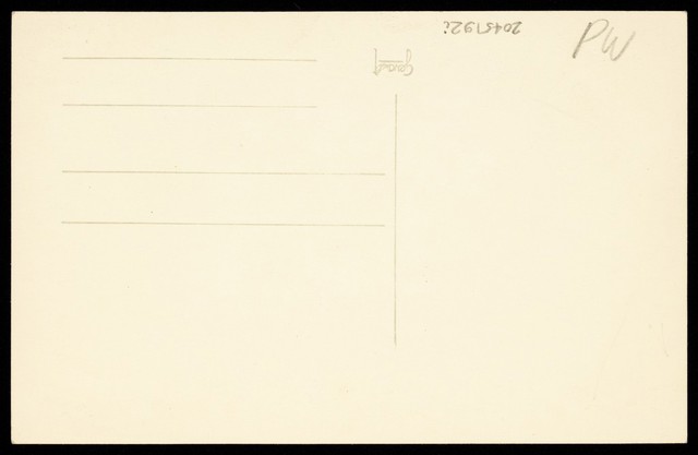 digitised image 2