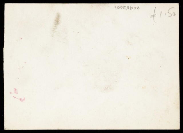 digitised image 2