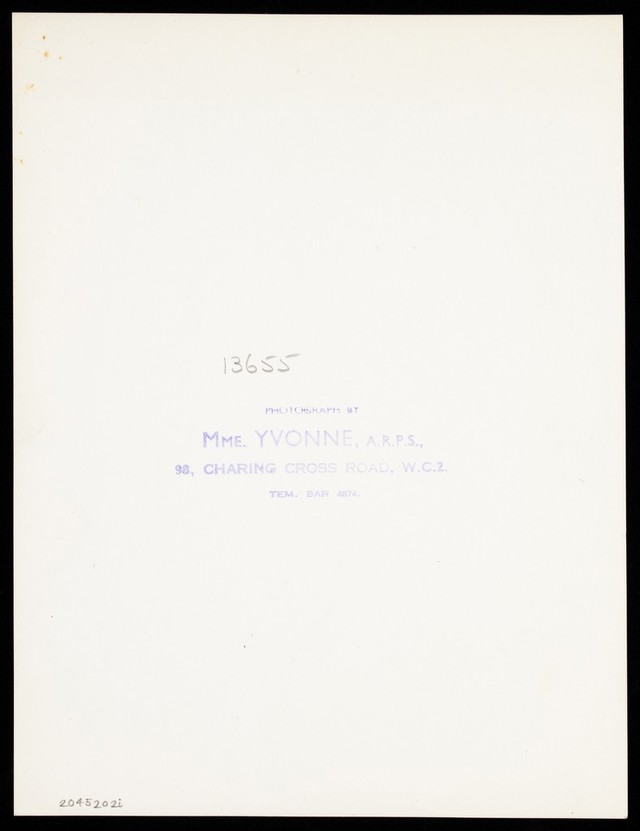 digitised image 2