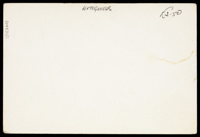 digitised image 2