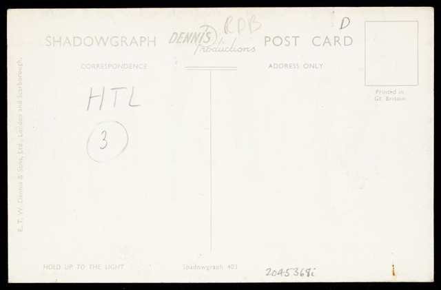 digitised image 2